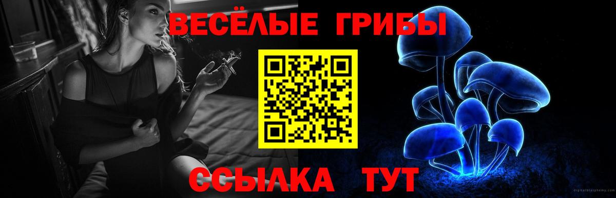 Курчатов  Галлюциногенные грибы прущие грибы  Галлюциногенные грибы MAGIC MUSHROOMS  Вход с VPN 
